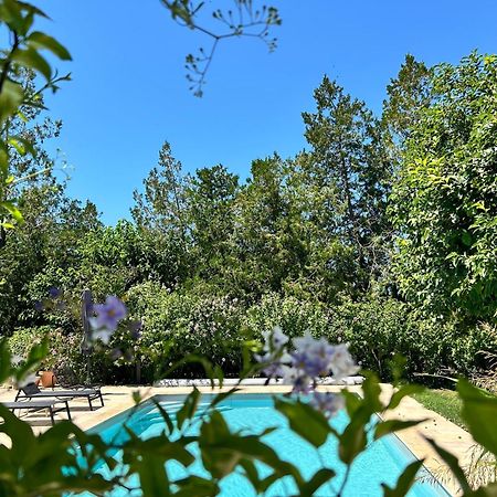 Provenzalisches Landhaus Les Martinets Am Fusse Des Mont Ventoux Villes-sur-Auzon Eksteriør billede
