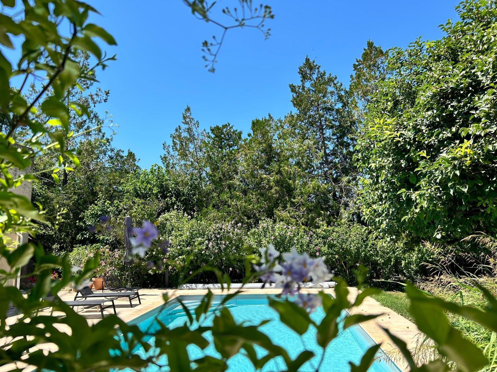 Provenzalisches Landhaus Les Martinets Am Fusse Des Mont Ventoux Villes-sur-Auzon Eksteriør billede